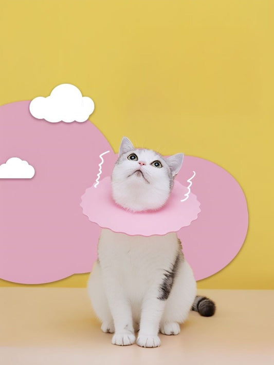 165a6088ffdc493796afb56905a26b77-Max